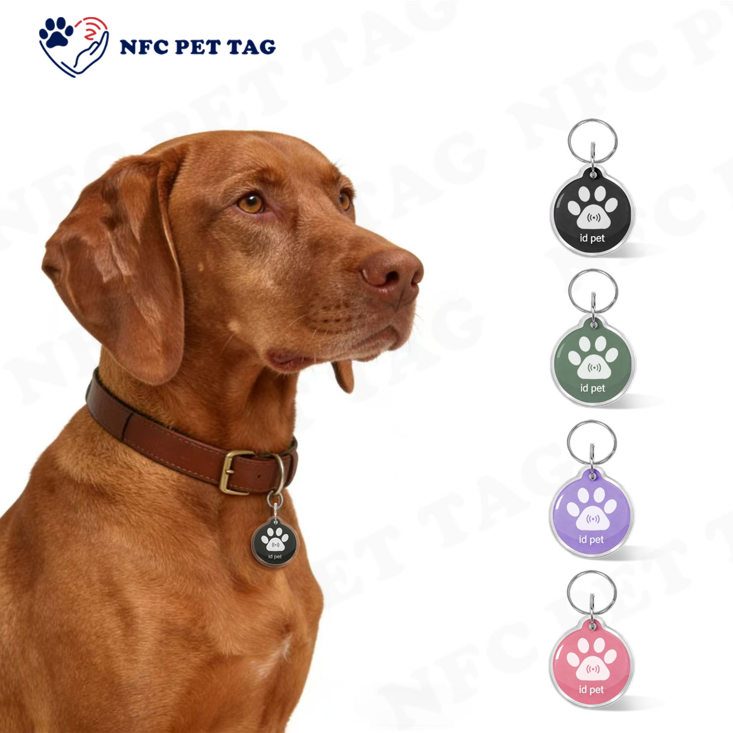 NFC Smart Dog Tags: The Future of Pet ID and Security in a Touch