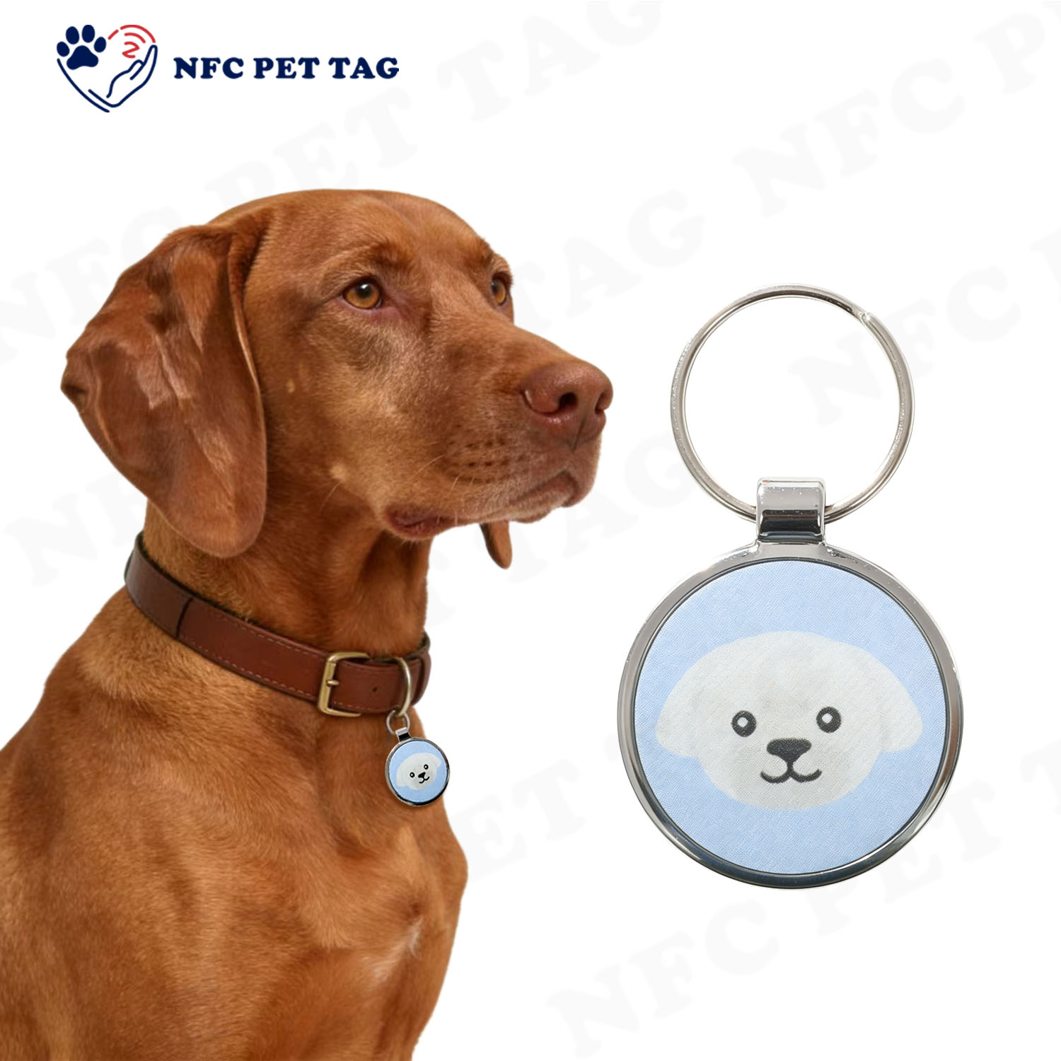 NFC PET TAG水印3