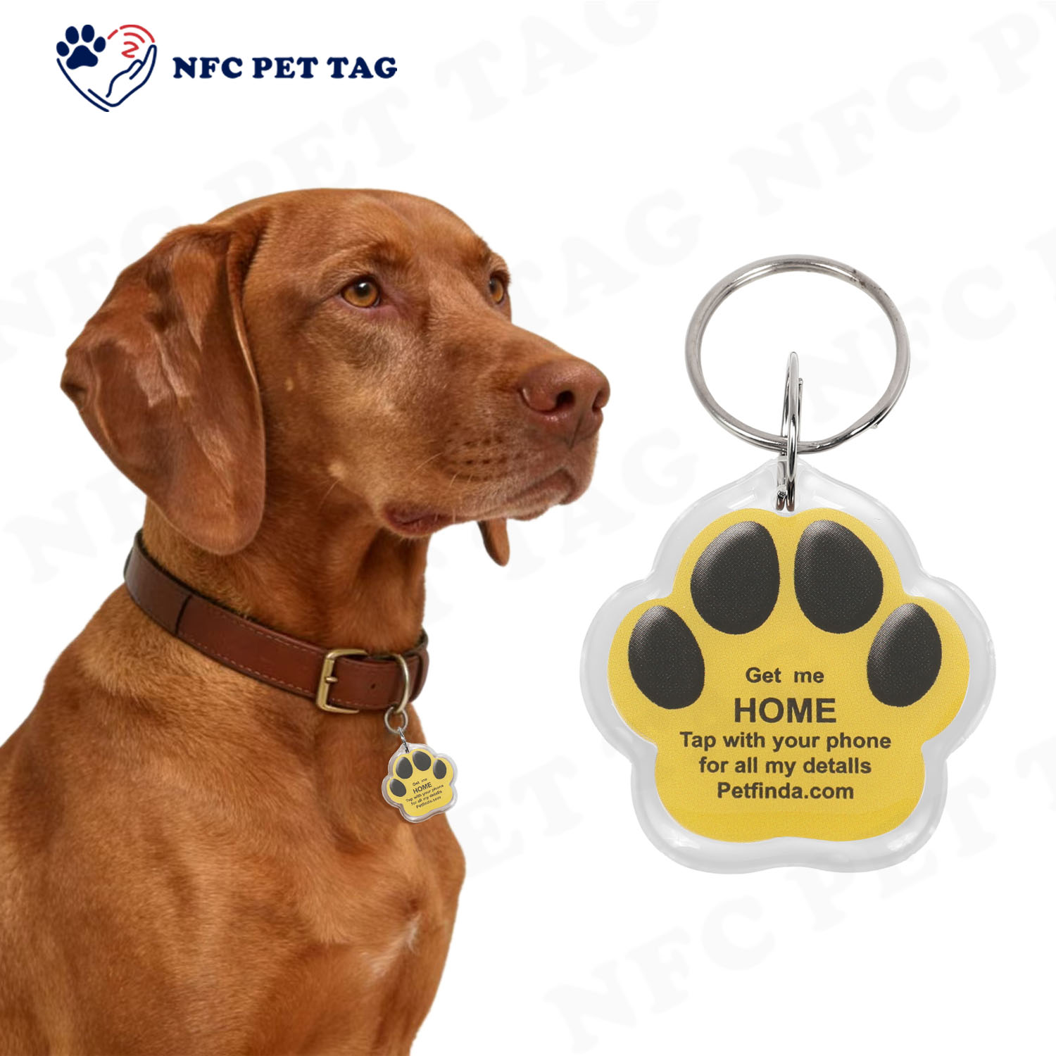NFC PET TAG水印3